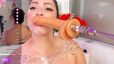 Masturbating loving babe solo toy plays with enthusiasm