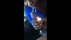 Exploded In Her Mouth