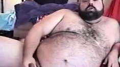 Hairy Chubby Bear Jo1