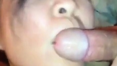 Asian BBW cum in her mouth